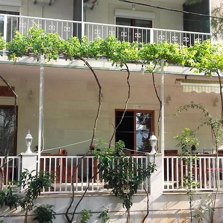 Donji Okrug  Villa Mateja المظهر الخارجي الصورة