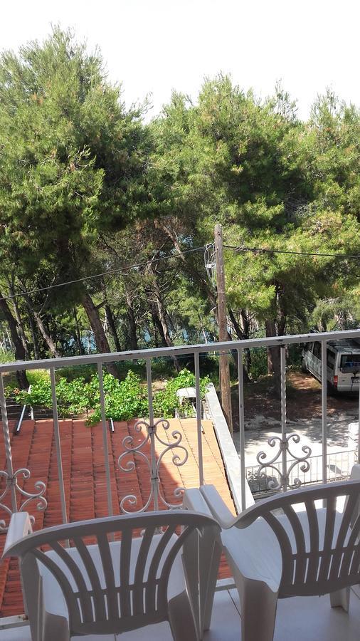 Donji Okrug  Villa Mateja المظهر الخارجي الصورة