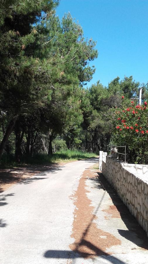 Donji Okrug  Villa Mateja المظهر الخارجي الصورة