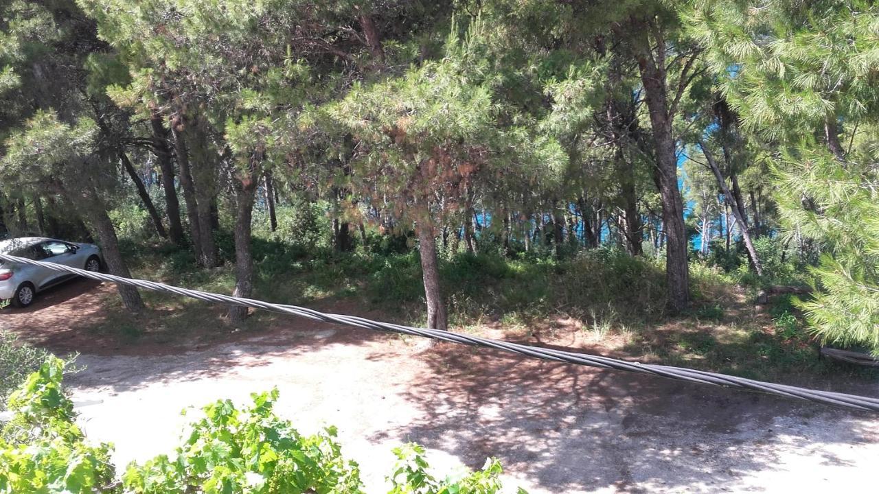 Donji Okrug  Villa Mateja المظهر الخارجي الصورة