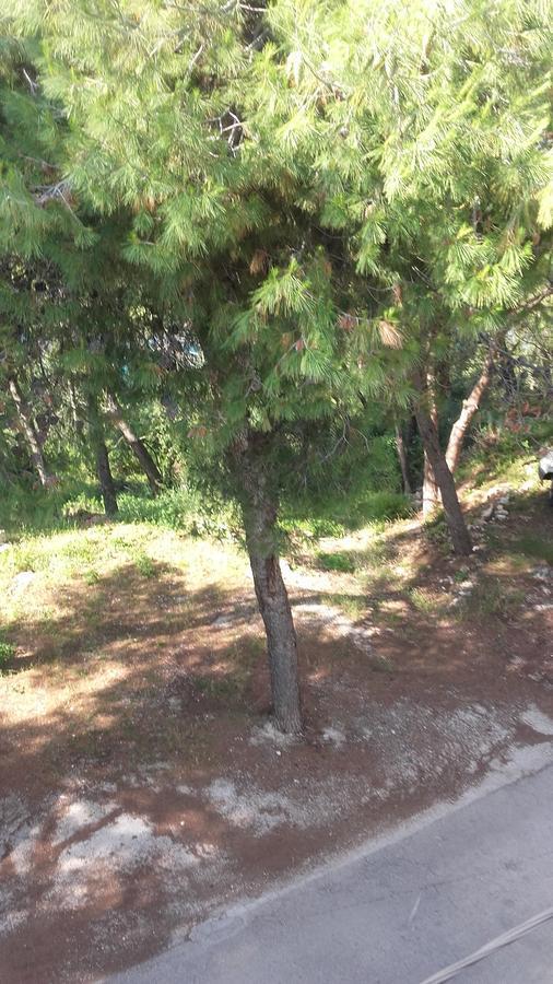 Donji Okrug  Villa Mateja المظهر الخارجي الصورة